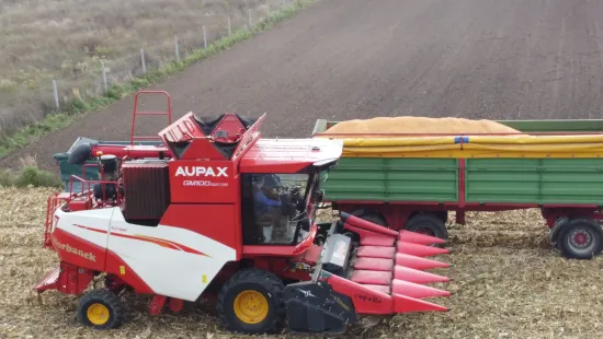 KOSZENIE KUKURYDZY CHIŃSKIM KOMBAJNEM 