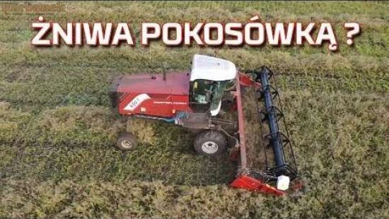 Embedded thumbnail for ŻNIWA pokosówką? KSU 1 Rostselmash | Nowy nabytek