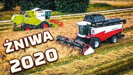 Embedded thumbnail for Claas i Rostselmash - Żniwa 2020, opłacalna uprawa - Kombajny zbierają TRAWĘ NASIENNĄ
