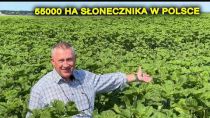 Embedded thumbnail for TO ZASKOCZYŁO WŁAŚCICIELA POLA - NIESAMOWITE REZULTATY PIELNIKA W SŁONECZNIKU