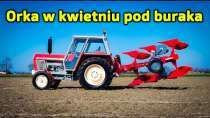 Embedded thumbnail for Dziadek orał wiosną i zebrał 80 t/ha buraków Bartek robi tak samo Ursusem Matheo780