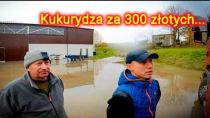 Embedded thumbnail for Odważny Rolnik Wszystko na Jedną Kartę