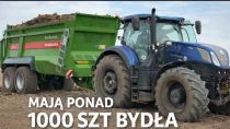 Embedded thumbnail for MAJĄ 1000 SZTUK BYDŁA