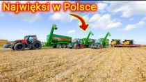 Embedded thumbnail for Kupują ponad 50 000 ton kukurydzy  Posiadają 30 ciężarówek, 3 przyczepy przeładowcze i własny Młyn