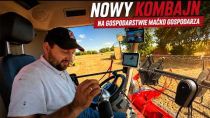Embedded thumbnail for GROCH LEPIEJ WYGLĄDA NIŻ SYPIE