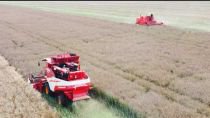 Embedded thumbnail for  BIZON W ODSTAWKĘ - CHIŃSKI KOMBAJN GO ZASTĄPIŁ - ŻNIWA 2025