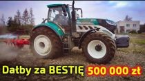 Embedded thumbnail for Rolnik dał by za BESTIĘ 500 000 zł Za tyle by kupił od ręki