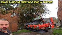 Embedded thumbnail for NIE OPŁACA SIĘ DZIERŻAWIĆ I SIAĆ - ROLNIK KUPUJE JUŻ WYROŚNIĘTE