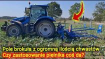 Embedded thumbnail for Czy warto wjeżdżać na pole pielnikiem Carre w bardzo późnym stadium rozwoju chwastów? [Korbanek]