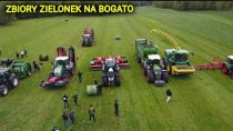 Embedded thumbnail for ZBIÓR ZIELONEK W KOTLIENIE KŁODZKIEJ