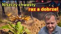 Embedded thumbnail for Tańsze i zdrowsze od chemii na chwasty  Pielnik mechaniczny