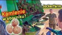 Embedded thumbnail for U Jockerfarma KAMIENIE W OBORNIKU? Jak reaguje rozrzutnik?
