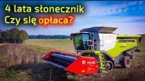 Embedded thumbnail for Kiedy słonecznik będzie najdroższy? Czy sprzedać od razu, czy zaczekać?