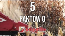 Embedded thumbnail for 5 faktów o Capello [przystawka do kukurydzy] małe żniwa