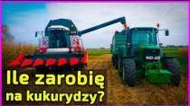 Embedded thumbnail for 85 000 ziaren na hektar kukurydzy Dało 12 ton 450 zł za tonę