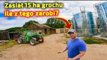 Embedded thumbnail for Hoduje krowy, uprawia ziemię, szukał dochodu - zasiał groch czy to się opłaca? [Korbanek]