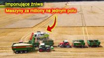 Embedded thumbnail for 1 olbrzymi Bergman odbiera pszenicę od 4 kombajnów! Żniwa na bogato jak u Jockerfarm?