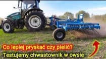 Embedded thumbnail for Ekologiczna uprawa owsa testujemy bronę chwastownik na polu Czy da radę bez dużych strat?