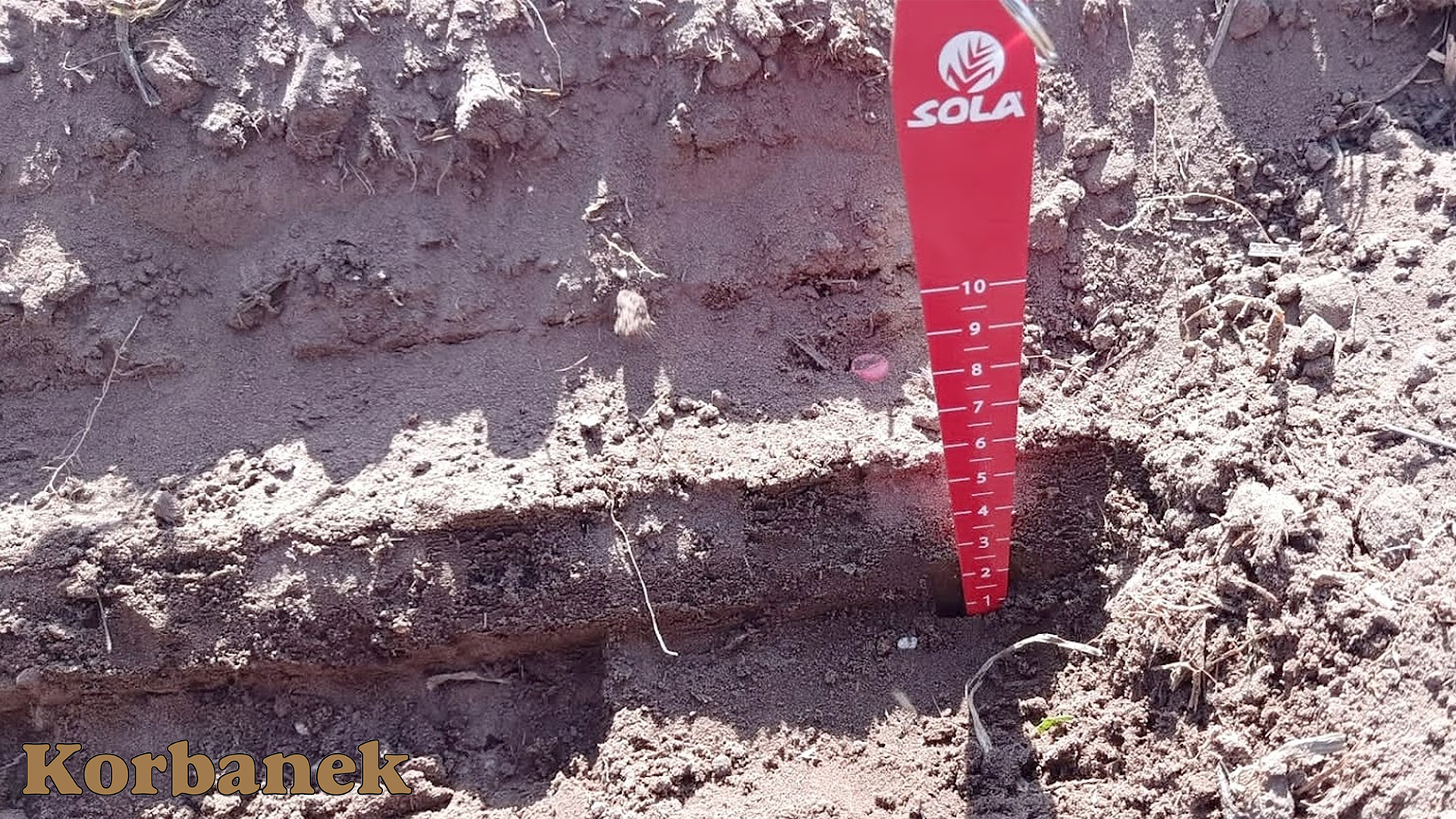 Równomierna głębokość siewu kukurydzy i nawożenia podczas testów w Młodzikowie