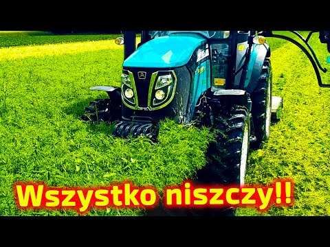 Embedded thumbnail for Likwiduje plantacje truskawek! Zniszczył ładny łubin Po co??