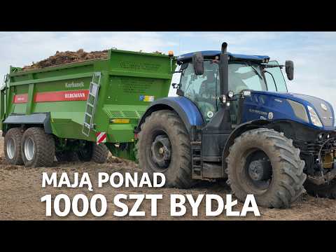 Embedded thumbnail for MAJĄ 1000 SZTUK BYDŁA