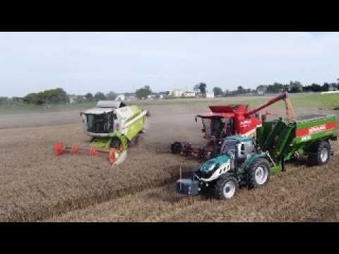 Embedded thumbnail for CHIŃSKI I NIEMIECKI KOMBAJN AUPAX GV100 VS CLAAS TUCANO 420