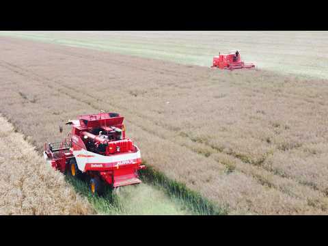 Embedded thumbnail for  BIZON W ODSTAWKĘ - CHIŃSKI KOMBAJN GO ZASTĄPIŁ - ŻNIWA 2025