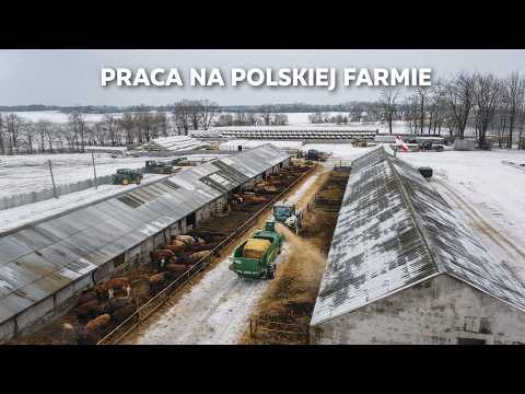 Embedded thumbnail for DUŻA FARMA Z BYDŁEM OD KUCHNI - CODZIENNA ROBOTA, SPRZĘT I REALIA PRACY