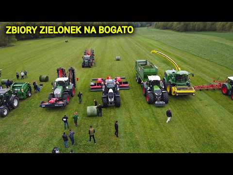 Embedded thumbnail for ZBIÓR ZIELONEK W KOTLIENIE KŁODZKIEJ