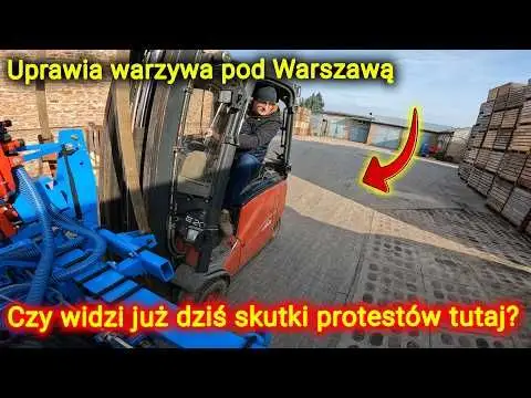 Outlaw 50 Polaris atv kolor limonkowy Quad dla dzieci napęd na tył ośka felgi stalowe blokada prędkości flaga z tyłu pojazdu 