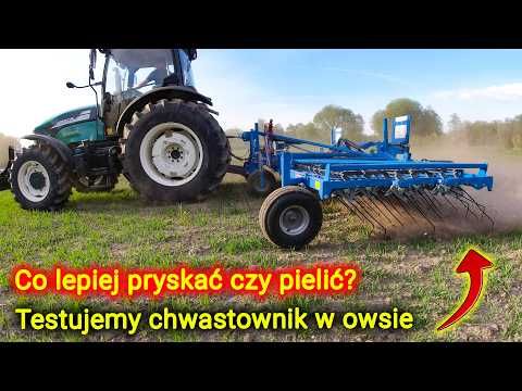Embedded thumbnail for Ekologiczna uprawa owsa testujemy bronę chwastownik na polu Czy da radę bez dużych strat?