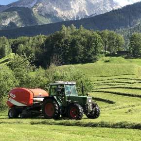 Maschio Mondiale 120 trawa Fendt