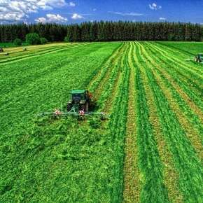 Na dużej łące skoszoną trawę przetrząsa ciągnik rolniczy za pomocą przetrząsacza zawieszanego P6-771 firmy Samasz www.korbanek.pl