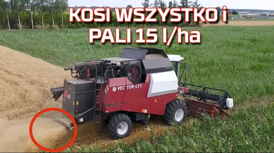 Tapeta kombajnu zbożowego Rostselmash Vector podczas żniw 2019 koszący wszystko od Korbanek www.korbanek.pl