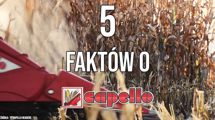 Tapeta z przystawką do kukurydzy capello podczas małych żniw 2019 5 faktów o opinia test od www.korbanek.pl