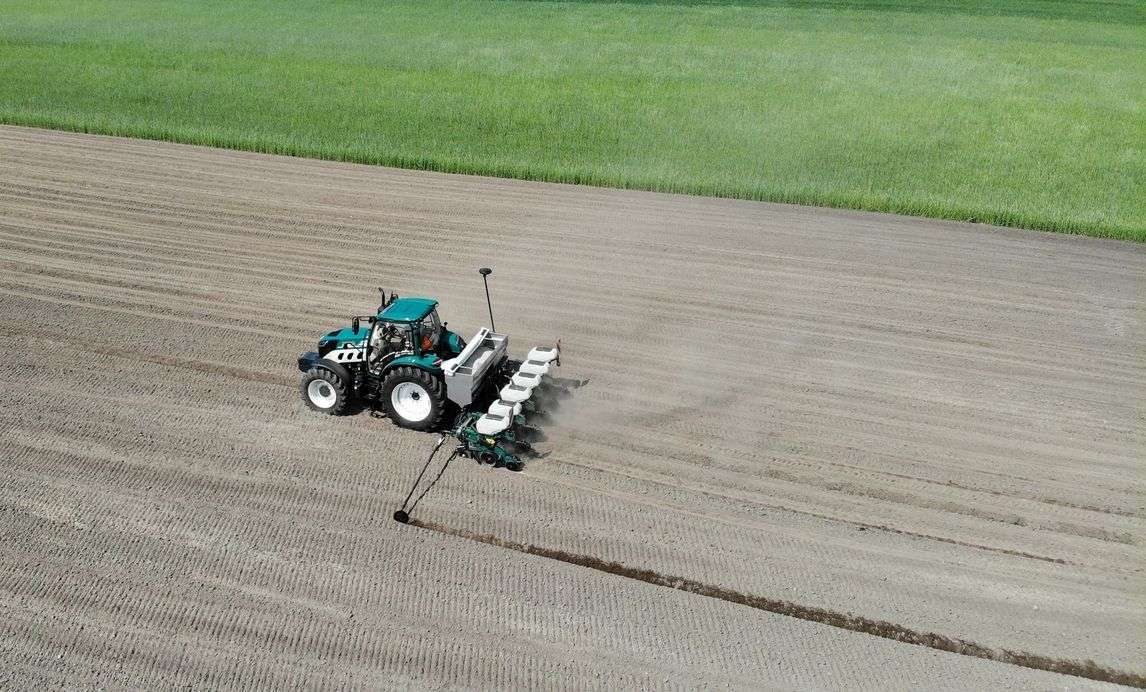 Siewnik punktowy Arbos podczas pracy na polu, wysiew kukurydzy