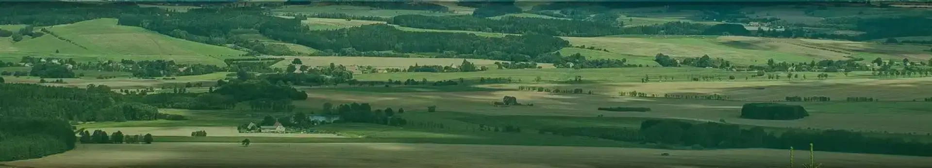 panoramiczne zdjęcie zielonego pofalowanego krajobrazu z oddali