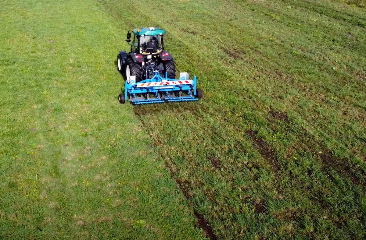 Efekt regeneracji użytków zielonych po przejeździe regeneratora łąki Prairial