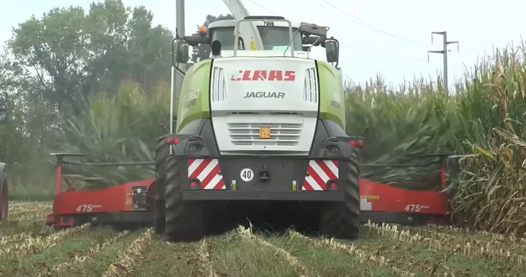 Kemper wpółpracujący z sieczkarnią Claas Jaguar