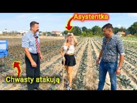 Embedded thumbnail for Asystentka od Roman Wielkopolski potrzebuje wsparcia Chwasty atakują Kabaret Malina