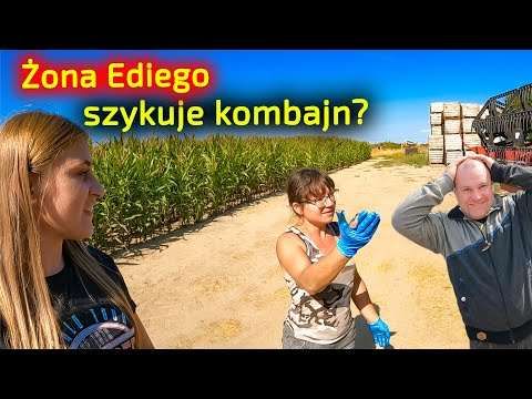 Embedded thumbnail for Edi Farmer z Karoliną pojechali kosić kombajnem uszykowanym przez żonę Ediego żniwa 2022