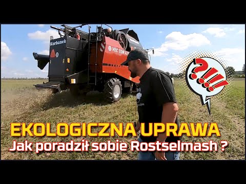 Embedded thumbnail for Ekologiczne uprawy na dużą skalę w Polsce ? Jak sobie w tym radzi Rostselmash Vector, jakie straty?