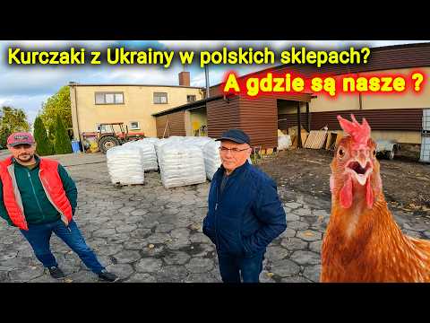Embedded thumbnail for Niemcy kupują kurczaki od Polaków a Polacy od Ukraińców!