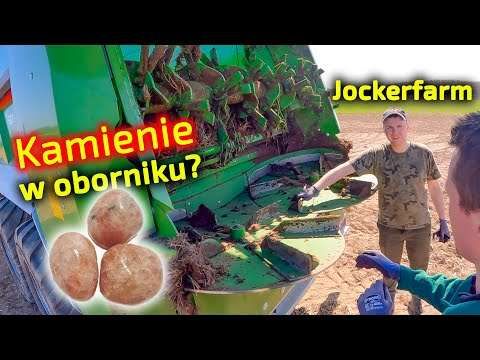 Embedded thumbnail for U Jockerfarma KAMIENIE W OBORNIKU? Jak reaguje rozrzutnik?