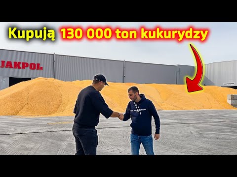 Embedded thumbnail for Gigant w skupie Jakpol - kupują ponad 2000 ton kukurydzy dziennie