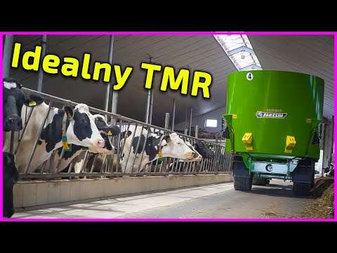 Embedded thumbnail for Recepta na IDEALNY TMR  Jak zwiększyć produkcję mleka